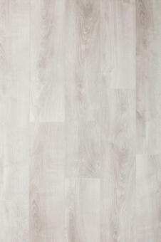 CXI150 Дуб Хоккайдо