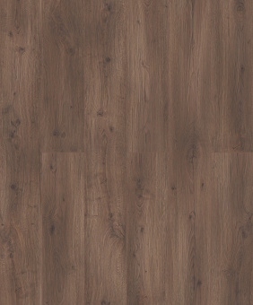 D50897 Дуб Ромберг