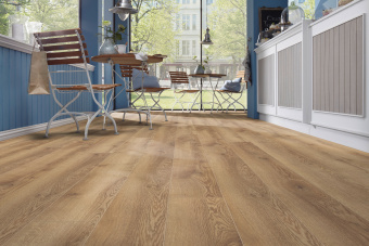 4725 Дуб горный природный