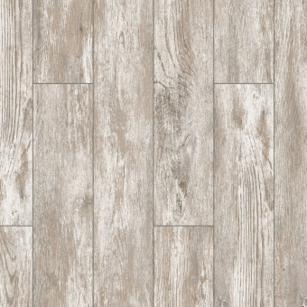 ID73 Дуб Мане