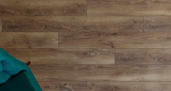 SF60 Дуб Берлин