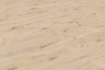 50747 Дуб Бирта