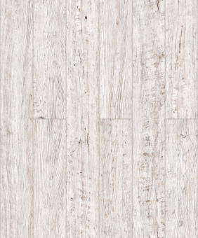 D50947 Дуб Нойбург