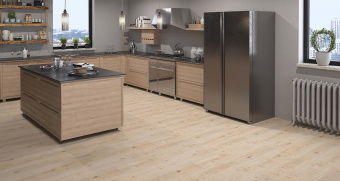 725 Дуб Харольд