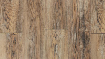  LM-07  Дуб Рим / Rome Oak