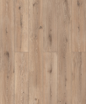 D51037 Дуб Ормонд